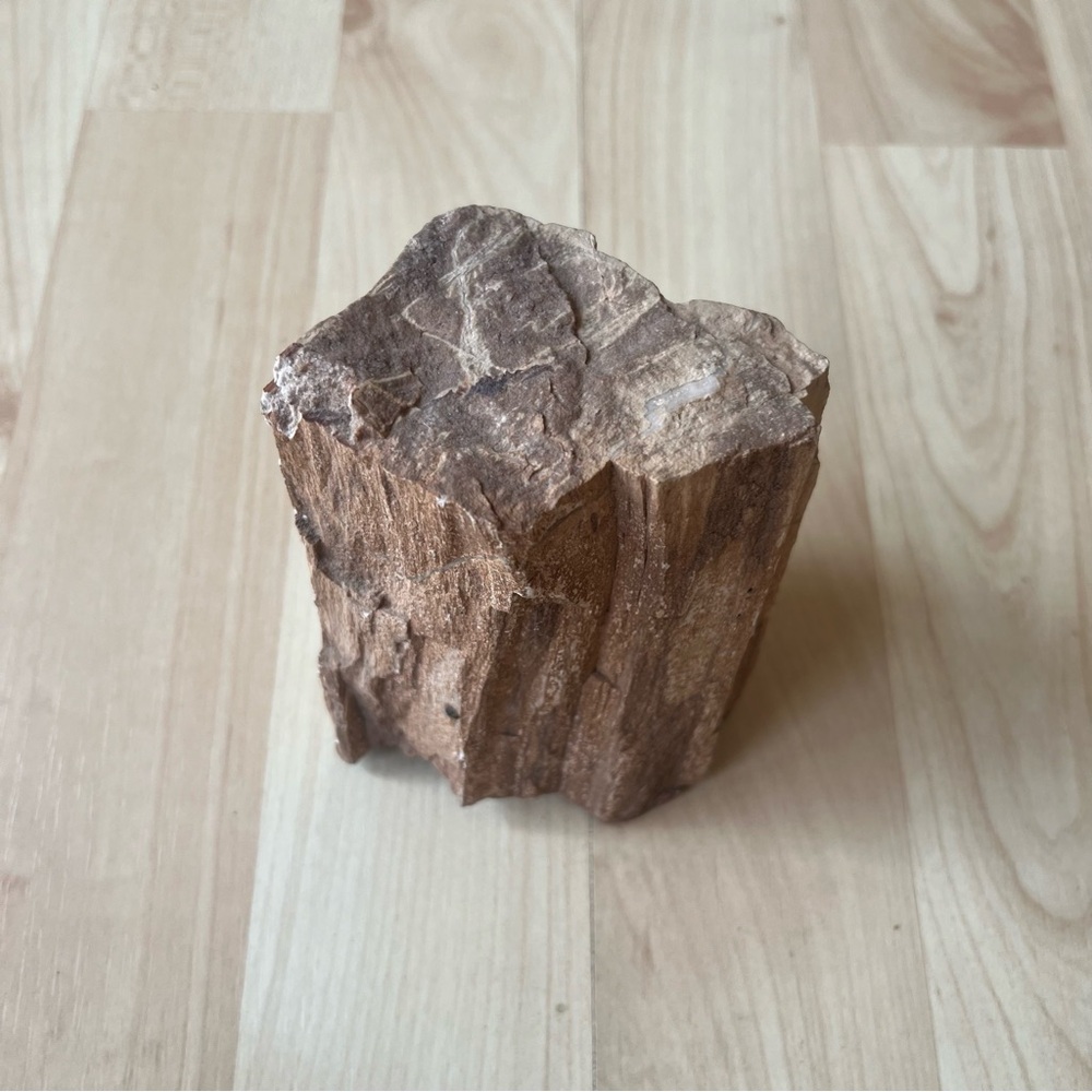 Natural Brown Petrified Wood Specimen